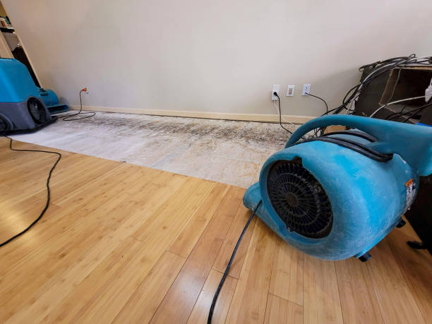 Reliable Basement Flood Cleanup contractor in Greenville, WI by Hirex Water Damage