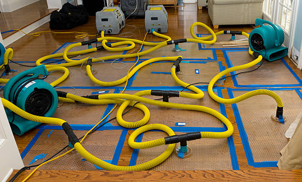 Professional Basement Flood Cleanup technician working in Greenville, WI